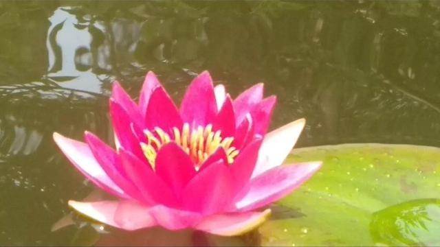 关于王昭君的诗句