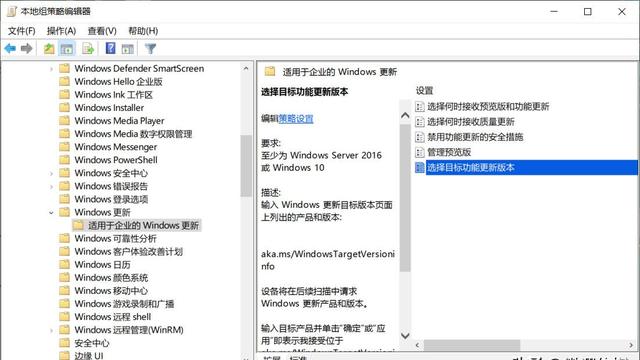 Win10大版本更新如何阻止