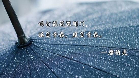关于雨的诗句优美