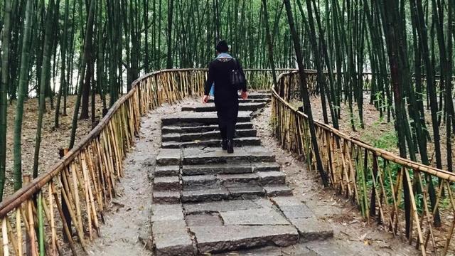 在诗词中旅行作文500字