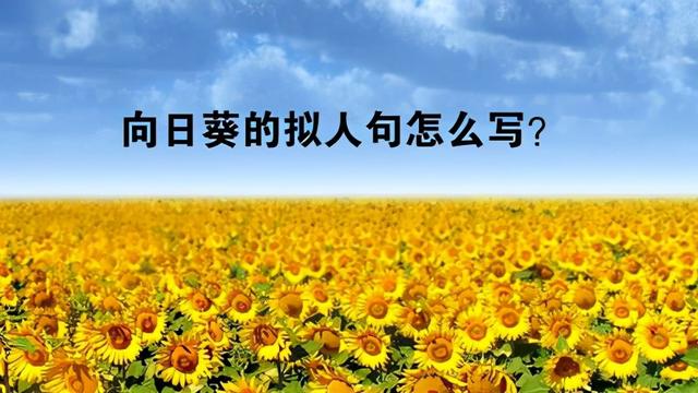 关于花儿开的了拟人句