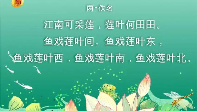 赞美荷花的诗句佳句