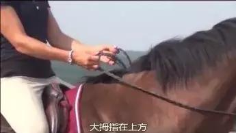 騎術的詞句