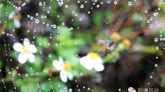 立夏这天是天晴还是下雨好