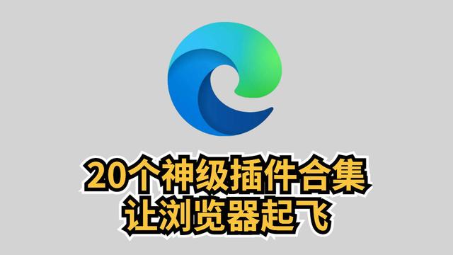 win10浏览器设置查询插件