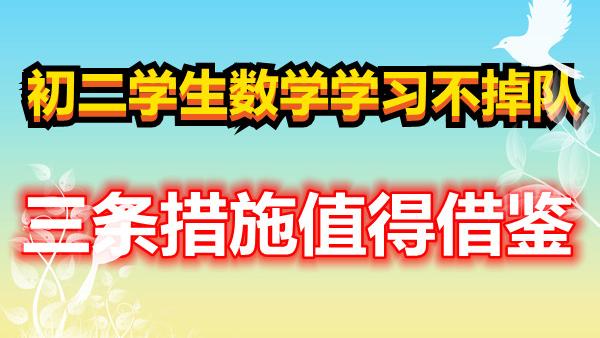 初二数学学习方法指导攻略