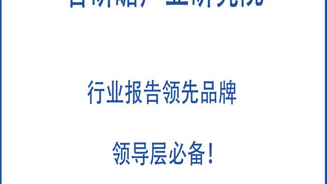 烟花鞭炮调研报告通用