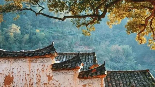 珍惜光阴诗句