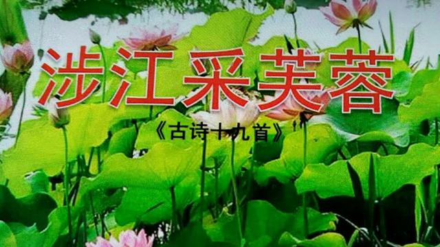 《涉江采芙蓉》教学设计