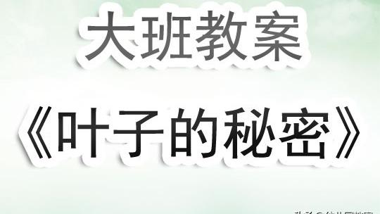 科学叶子的秘密教案