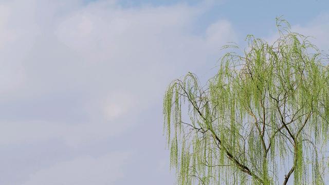 曾巩古诗词朗读