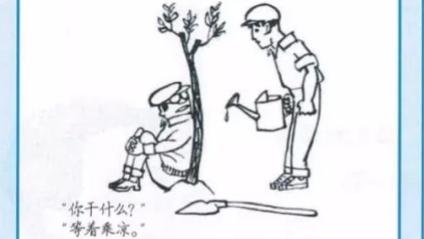 我与小树共成长作文