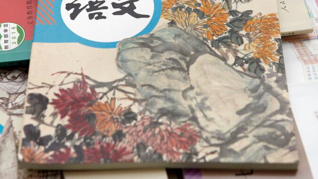 诗词大会作文400字以上