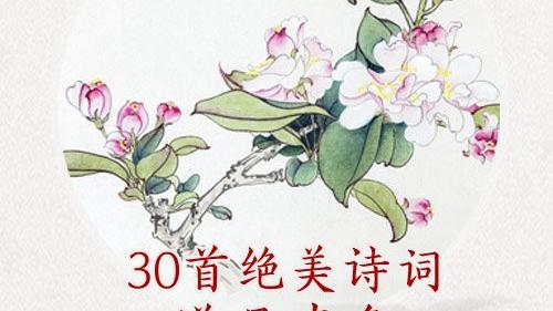 赞美春天的古诗词朗读