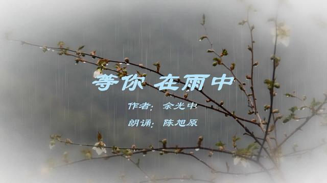 余光中写的等你在雨中现代诗