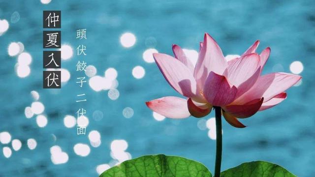 今日初伏诗词