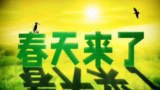 有关江布拉克的作文精选
