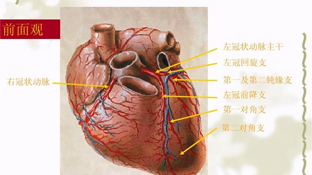 谈谈利用泛影葡胺在B超下做子宫输卵管造影