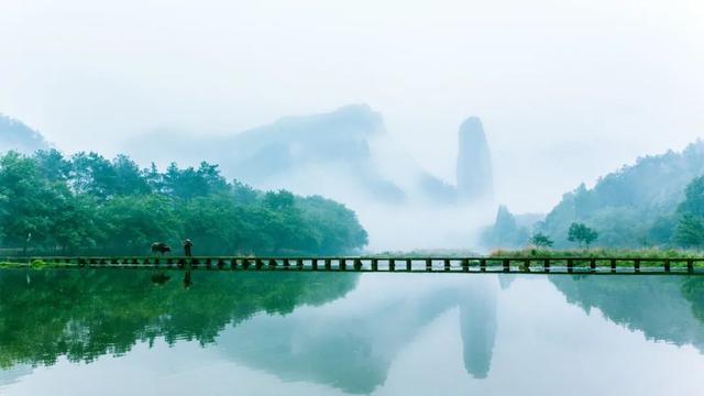 关于王安石的诗词