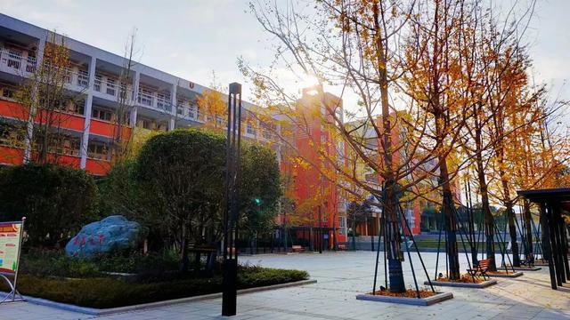 精选夸夸的同学三年级作文锦集