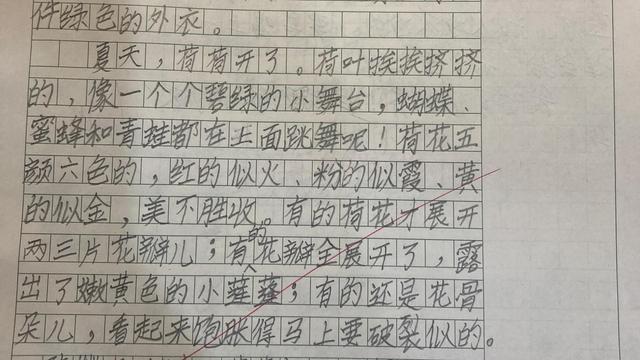 荷花世界作文300字