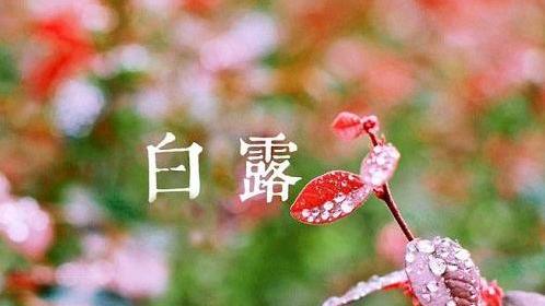 有关白露节气的古诗词