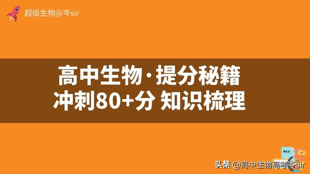 认识真核生物与原核生物转录与复制的区别