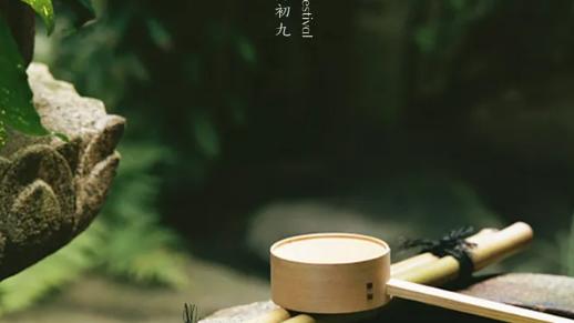 描写重阳节习俗的诗句