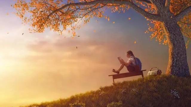 《苏菲的世界》的初中生读后感