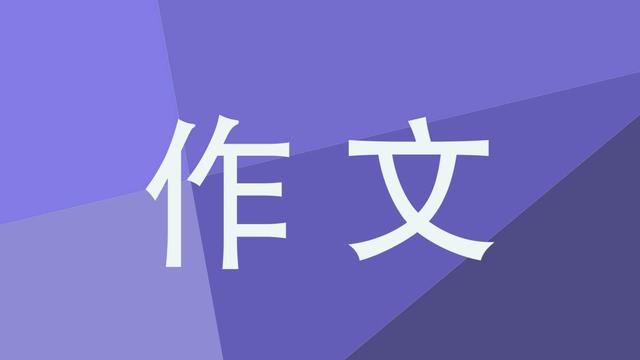 石头的作文600字