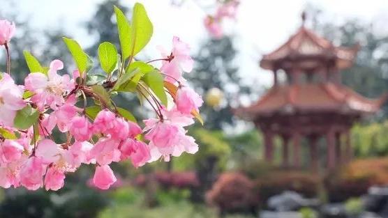 福州四十中金山分校对口哪些小学