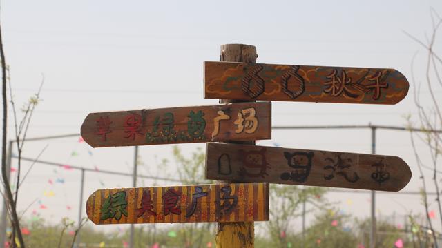 精选三年级踏青作文汇编八篇