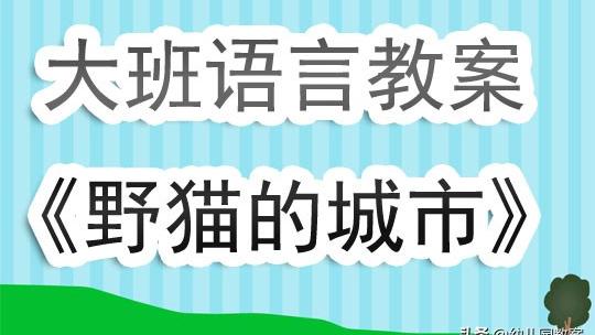 野猫的城市作文精选