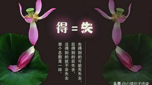 感悟人生得失的经典句子