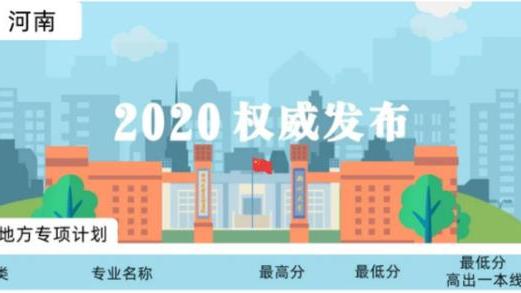 地方专项计划10篇
