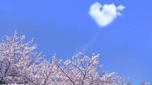 感谢老师的句子暖心短句