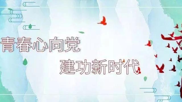 大班教案小小统计员