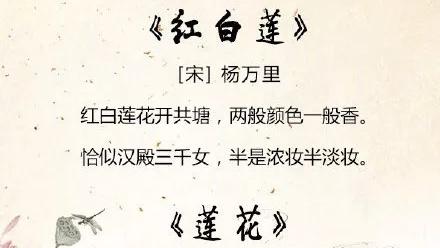 关于夏天的优美古诗词