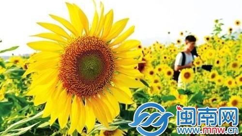 立秋唯美句子朋友圈