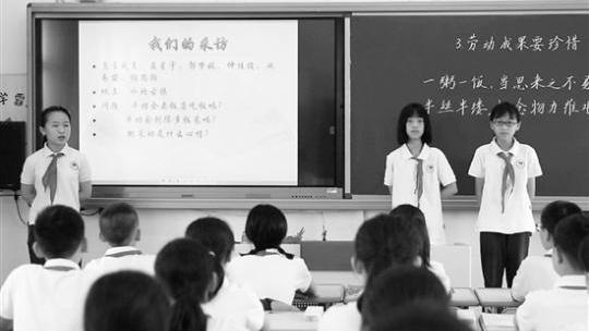 小学生的调查报告