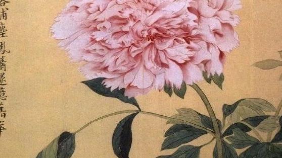 唐代写牡丹的诗