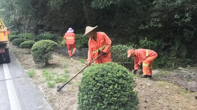 公路绿化10篇