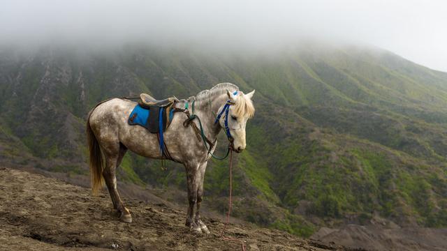 长沙马栏山是什么地方