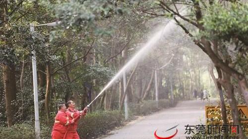 企业专项整治方案大全