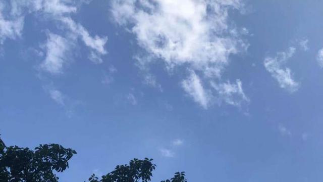 夏至的经典句子精选