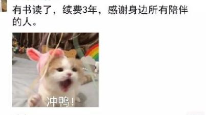 考研上岸的文案通用