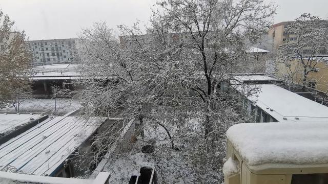 下雪的幽默句子大全