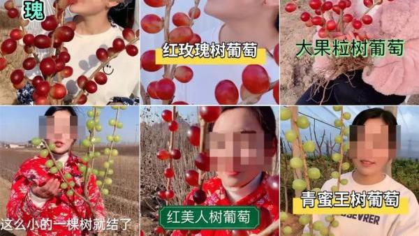 草莓文案创意广告词
