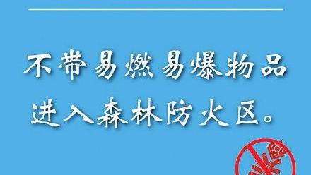 森林防火的承诺书合集