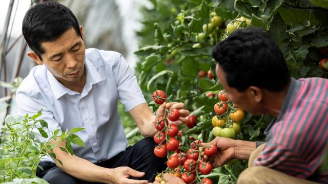 先进集体事迹材料范文